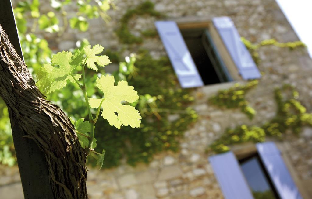 Domaine Les Mejeonnes Hotel Valaurie Exterior photo